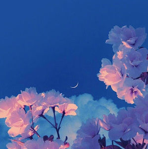 Meet your Posher, Migdalia